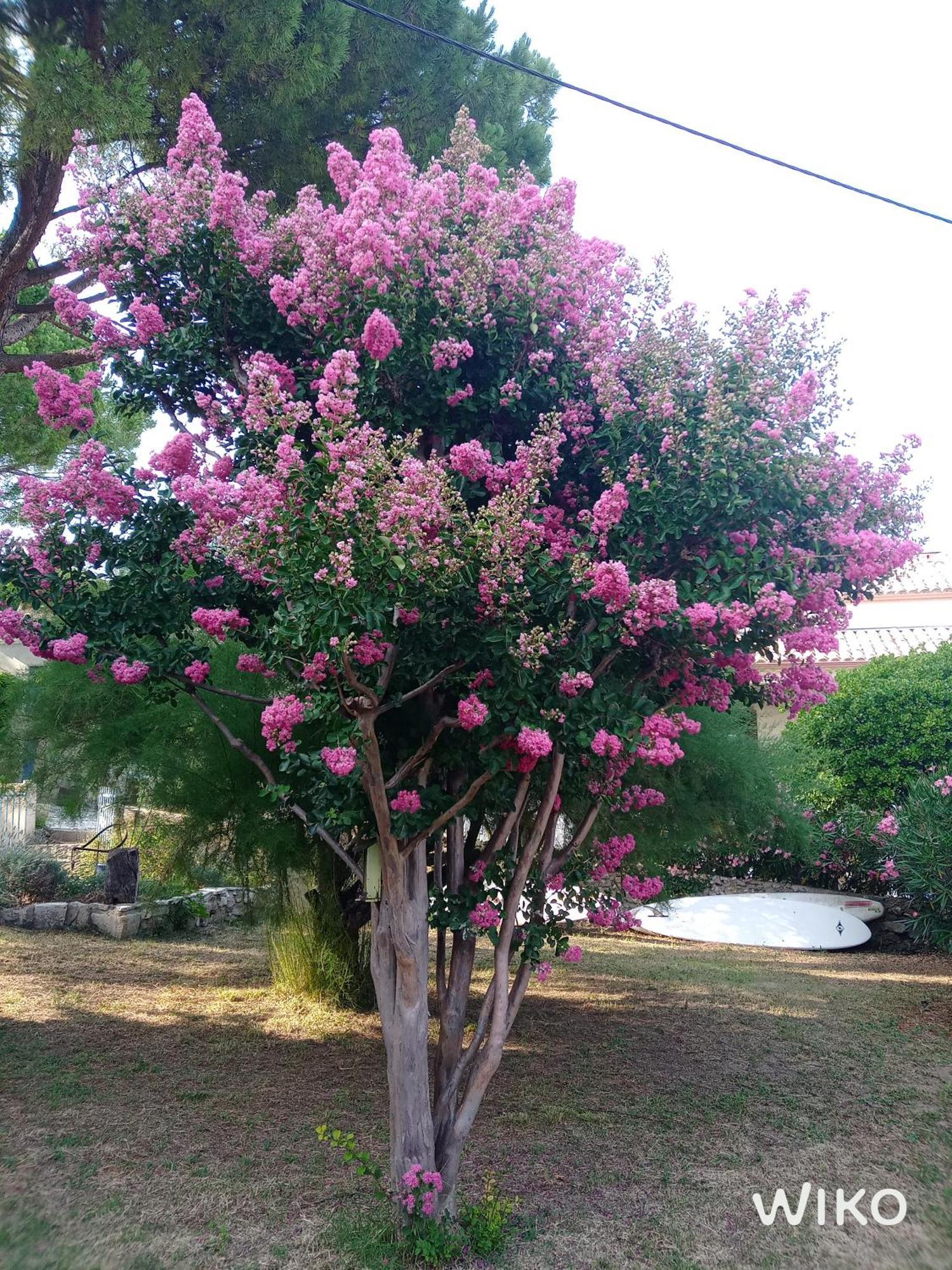 Au Fil De Soi Villa Saint-Julien-de-Peyrolas Buitenkant foto